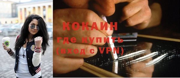 дмт Абаза