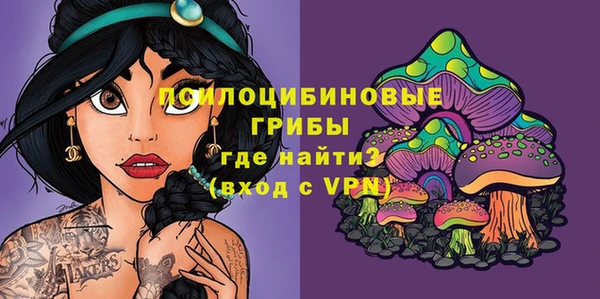 дмт Абаза