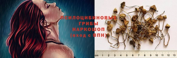 не бодяженный Абдулино