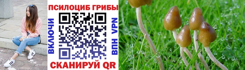 купить наркотик  Тихорецк  Галлюциногенные грибы прущие грибы 